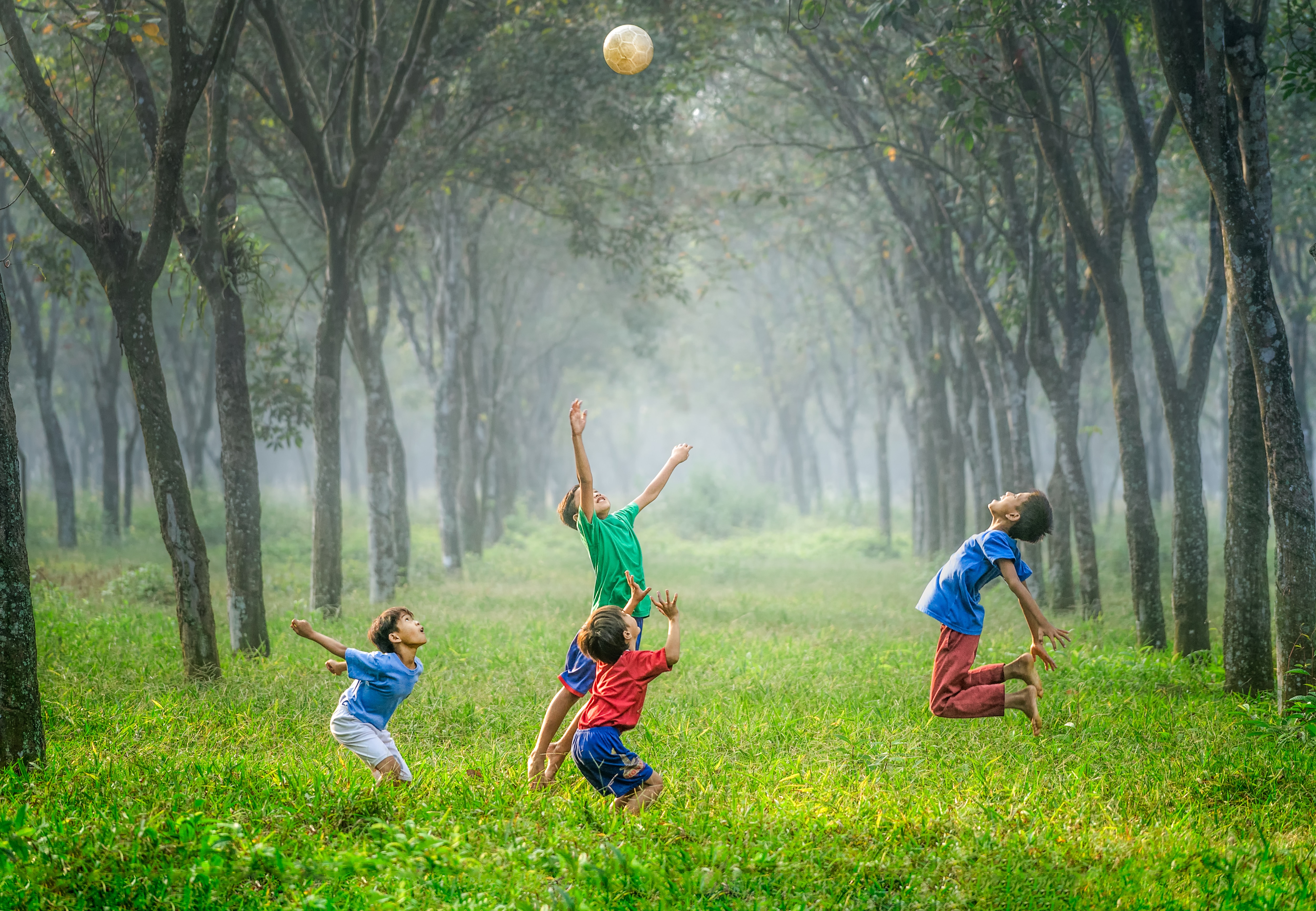 kuva kesäisestä vihreästä metsästä, jossa lapset leikkivät pallolla